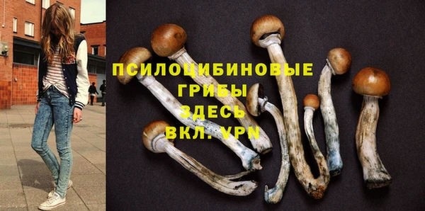 ГАЛЛЮЦИНОГЕННЫЕ ГРИБЫ Нягань