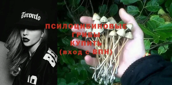ГАЛЛЮЦИНОГЕННЫЕ ГРИБЫ Нягань